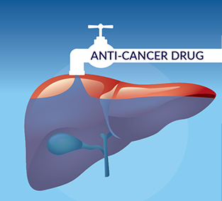 Chemosaturation Process Saturation